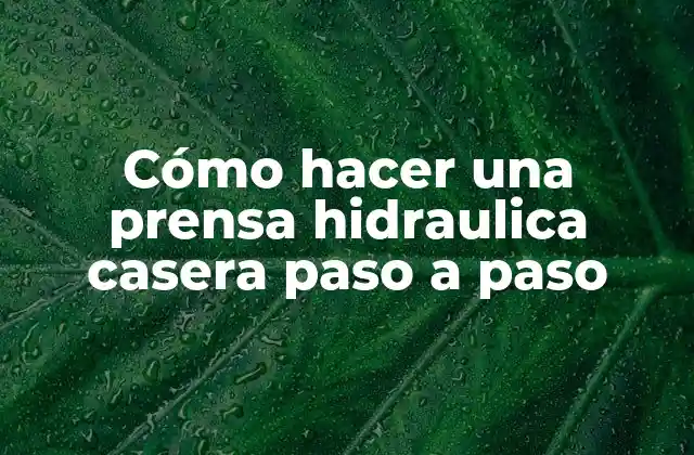 ¿Qué es una prensa hidraulica casera?