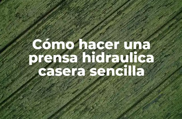 Cómo Hacer una Prensa Hidraulica Casera Sencilla