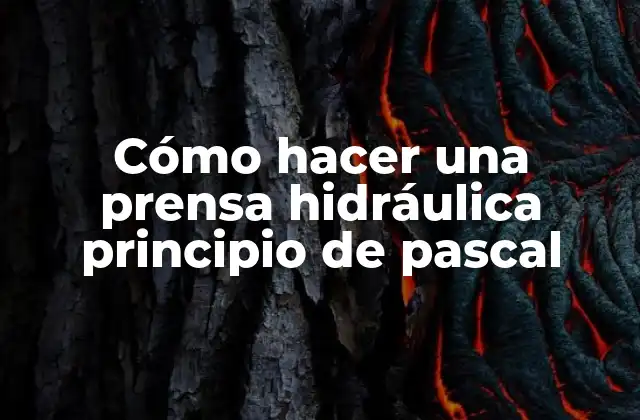 Cómo Hacer una Prensa Hidráulica Principio de Pascal