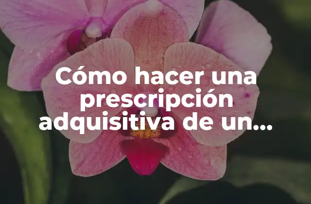 Cómo Hacer una Prescripción Adquisitiva de un Vehículo