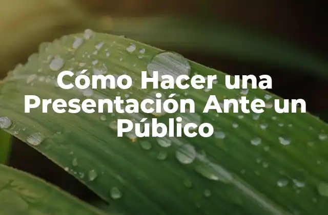 Cómo Hacer una Presentación ante un Público