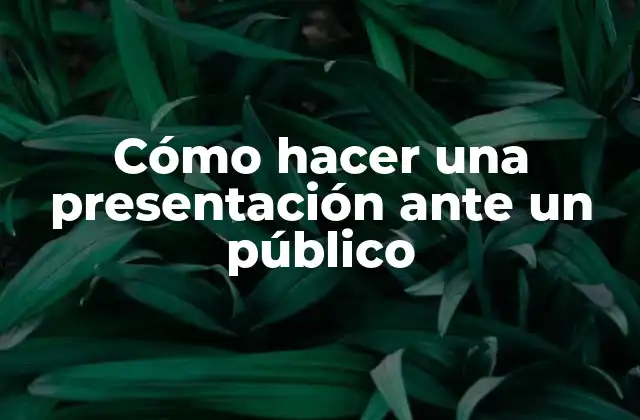 Cómo Hacer una Presentación ante un Público