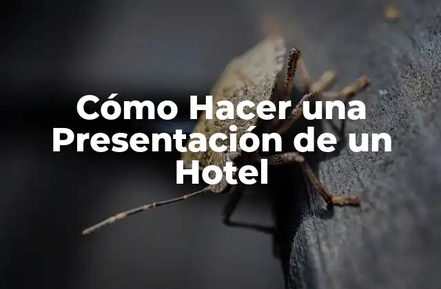 Cómo Hacer una Presentación de un Hotel