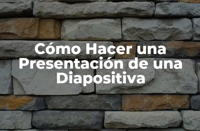 Cómo Hacer una Presentación de una Diapositiva