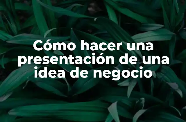 Cómo Hacer una Presentación de una Idea de Negocio