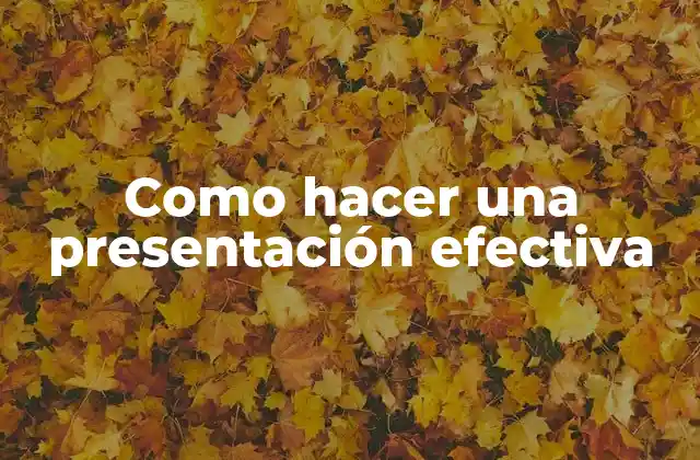 Como Hacer una Presentación Efectiva 16 Presentación efectiva