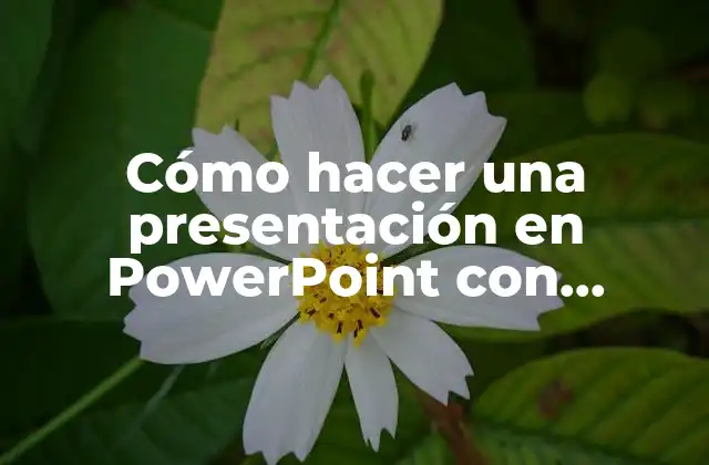 Cómo Hacer una Presentación en Powerpoint con Animación