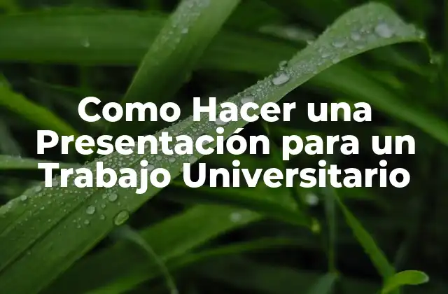 Como Hacer una Presentación para un Trabajo Universitario