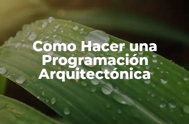 Como Hacer una Programación Arquitectónica
