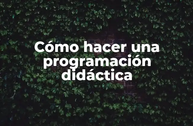 ¿Qué es una programación didáctica?
