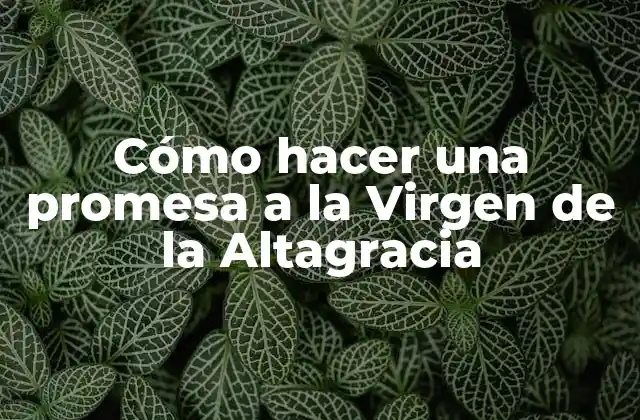 Cómo Hacer una Promesa a la Virgen de la Altagracia