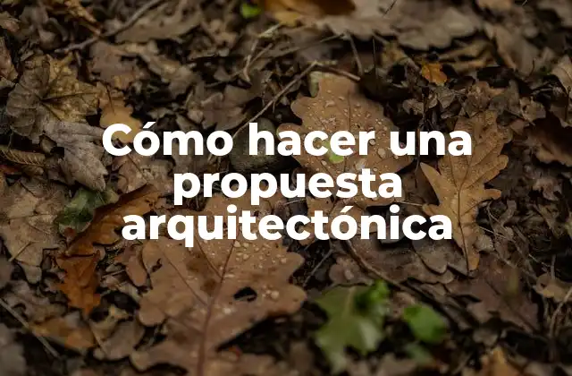 Cómo Hacer una Propuesta Arquitectónica