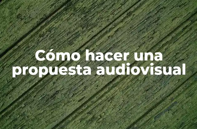 Cómo Hacer una Propuesta Audiovisual