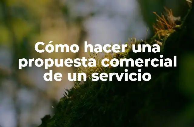 Cómo hacer una propuesta comercial de un servicio