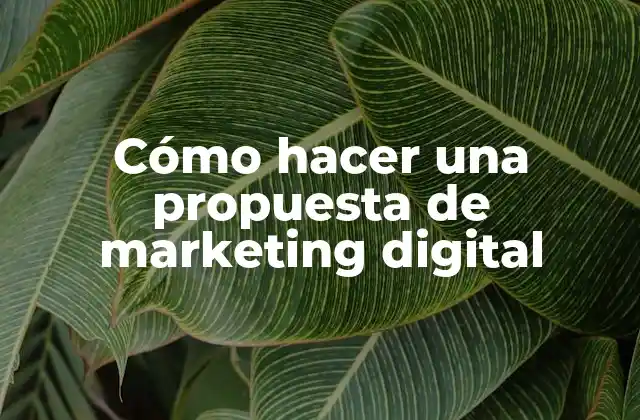 Cómo Hacer una Propuesta de Marketing Digital