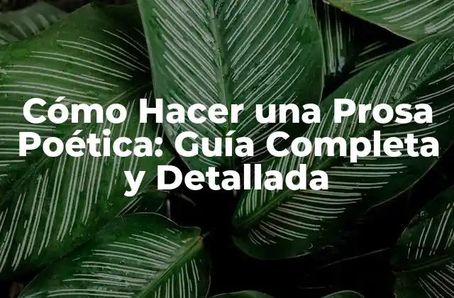 Cómo Hacer una Prosa Poética: Guía Completa y Detallada