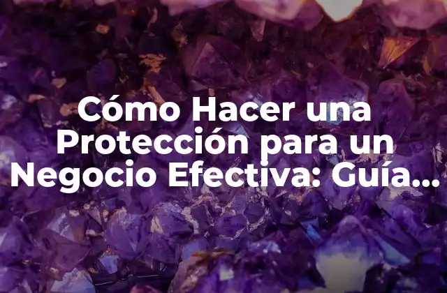 Cómo Hacer una Protección para un Negocio Efectiva: Guía Completa