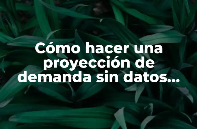 Cómo hacer una proyección de demanda sin datos históricos