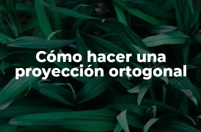 Cómo Hacer una Proyección Ortogonal