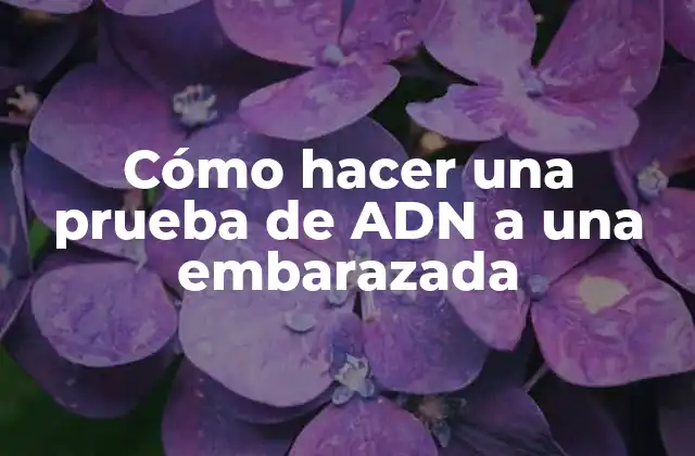 Cómo hacer una prueba de ADN a una embarazada