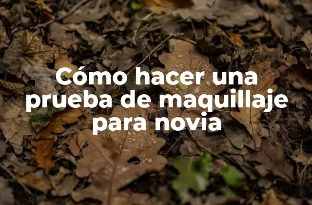 Cómo Hacer una Prueba de Maquillaje para Novia