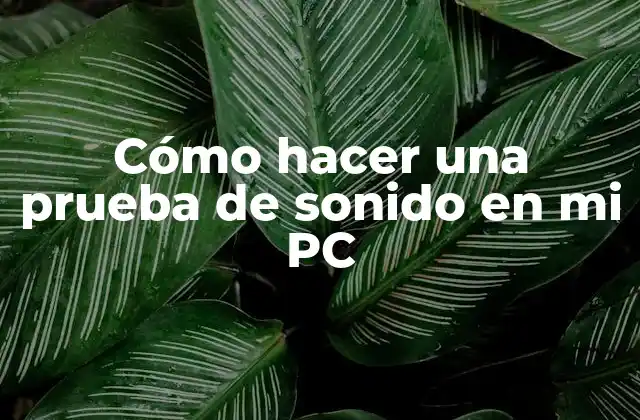 Cómo Hacer una Prueba de Sonido en Mi Pc