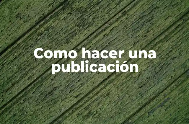 Como Hacer una Publicación