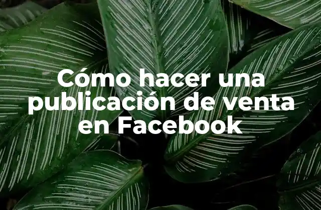 Cómo Hacer una Publicación de Venta en Facebook