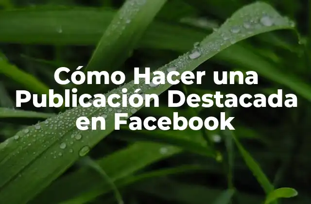 Cómo Hacer una Publicación Destacada en Facebook