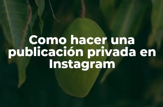 Como Hacer una Publicación Privada en Instagram