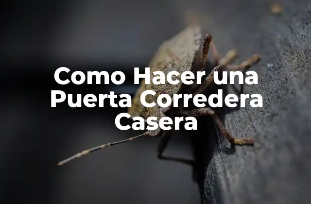 Como Hacer una Puerta Corredera Casera