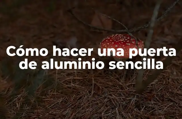 Cómo Hacer una Puerta de Aluminio Sencilla