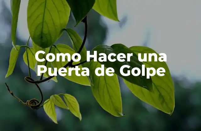 ¿Qué es una Puerta de Golpe?