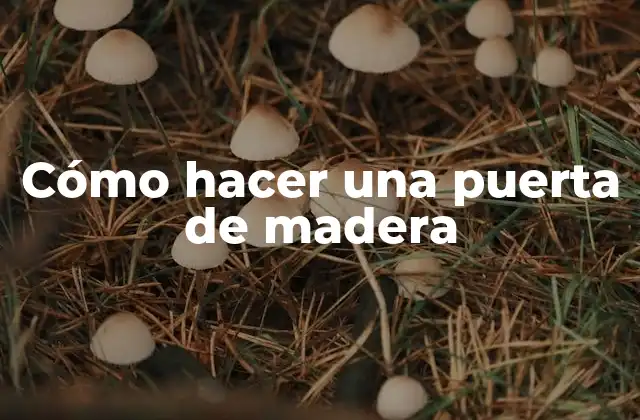 Cómo hacer una puerta de madera