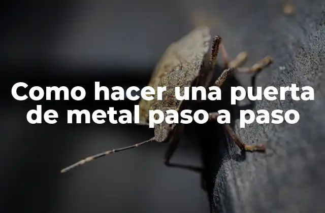 Como Hacer una Puerta de Metal Paso a Paso