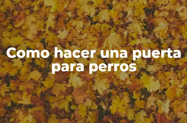 ¿Qué es una puerta para perros y para qué sirve?