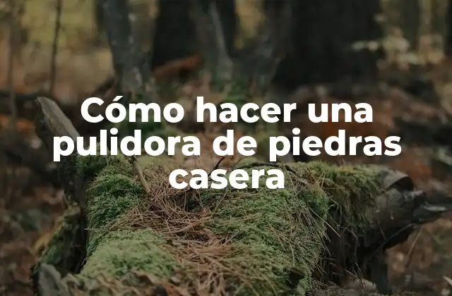 Cómo Hacer una Pulidora de Piedras Casera
