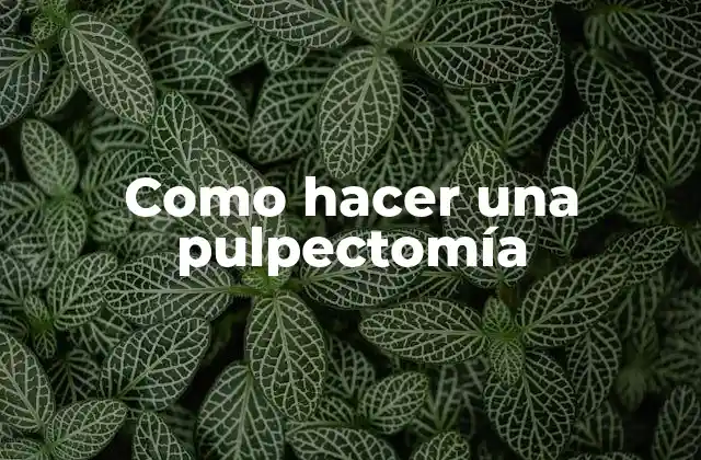 Como Hacer una Pulpectomía
