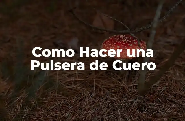 Como Hacer una Pulsera de Cuero