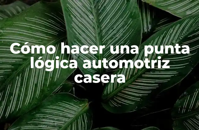 Cómo Hacer una Punta Lógica Automotriz Casera