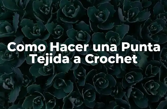 Como Hacer una Punta Tejida a Crochet