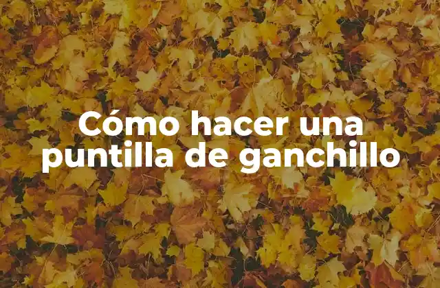Cómo Hacer una Puntilla de Ganchillo