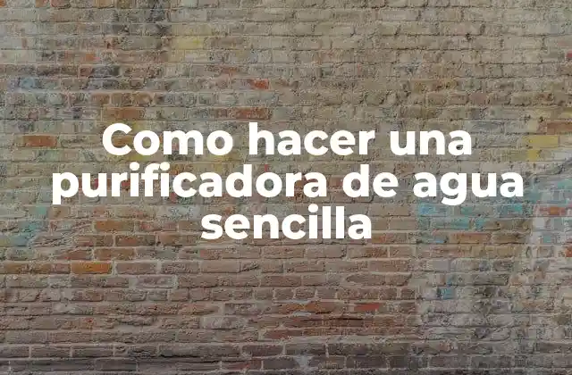 Como Hacer una Purificadora de Agua Sencilla