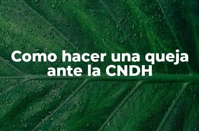Como Hacer una Queja ante la Cndh