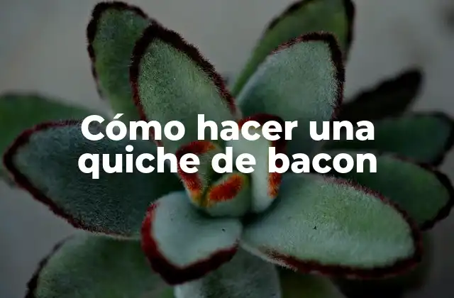 Cómo Hacer una Quiche de Bacon