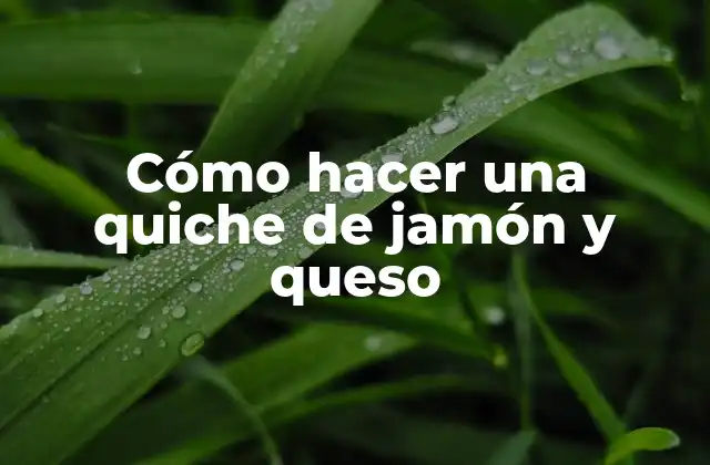 ¿Qué es una quiche de jamón y queso?
