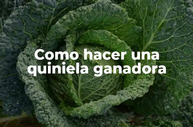 Como Hacer una Quiniela Ganadora