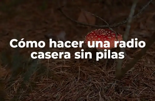 Cómo Hacer una Radio Casera sin Pilas