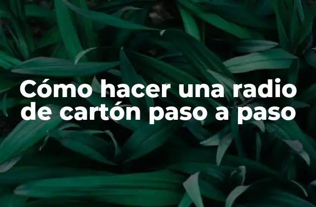 Cómo Hacer una Radio de Cartón Paso a Paso