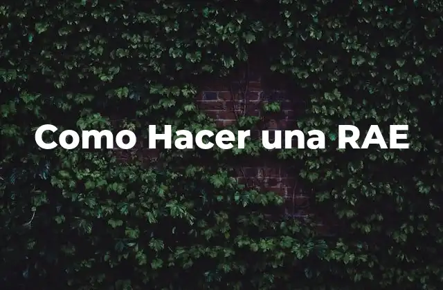 Como Hacer una Rae 2 ¿Qué es un informe de avance de estado (RAE)?